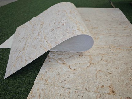 High-resolution image of decorative lightweight stone panel High-resolution image of decorative lightweight stone panel